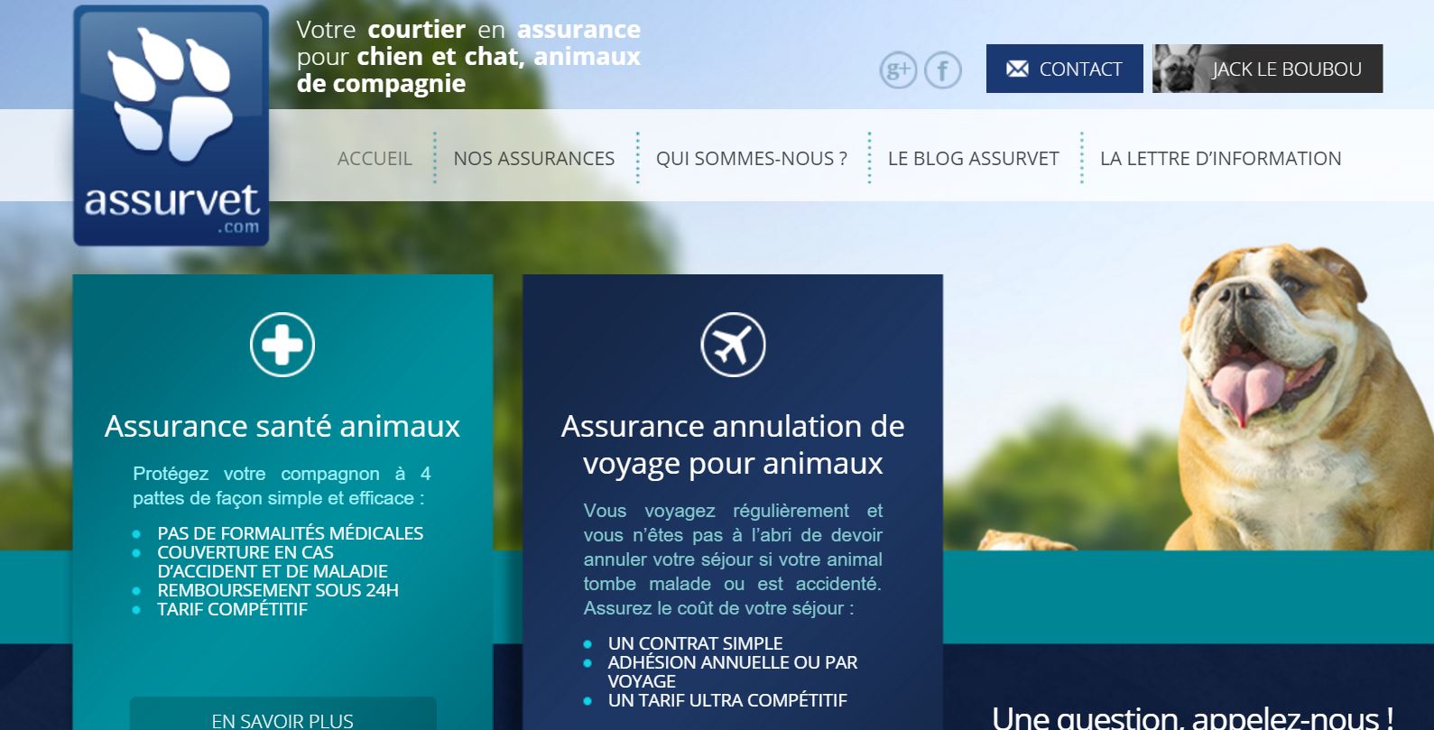 Agence Wordpress assurances animaux